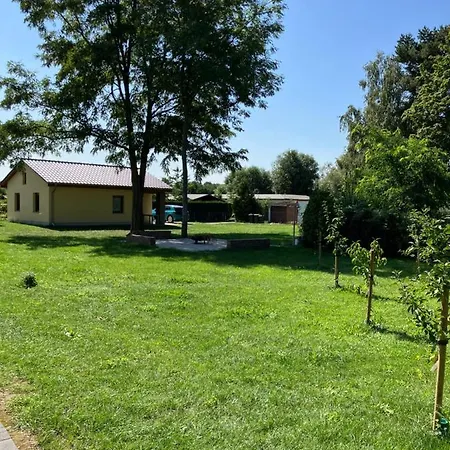 Havelstern Ketzin, Zander Ketzin