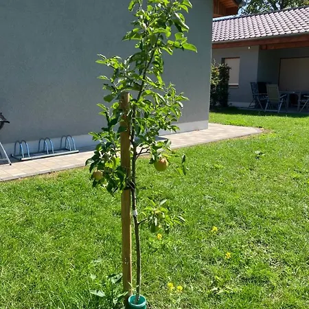 Holiday home Havelstern Ketzin, Zander *