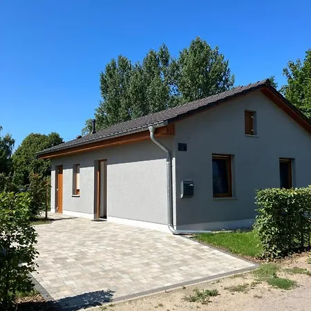 Havelstern Ketzin, Zander Ketzin
