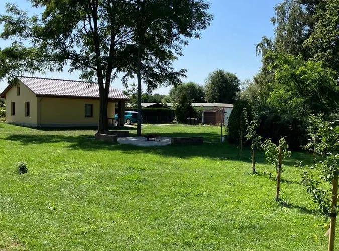 Havelstern Ketzin, Zander Ketzin