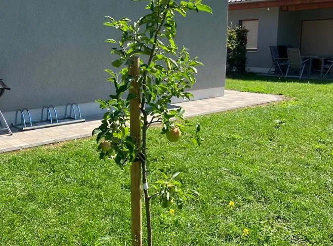 Prázdninový dům Havelstern Ketzin, Zander *
